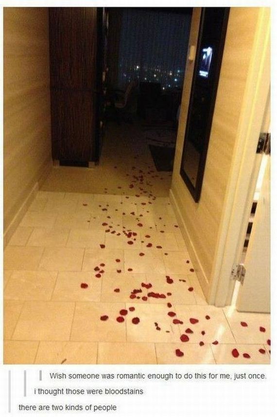 funny-pictures-488