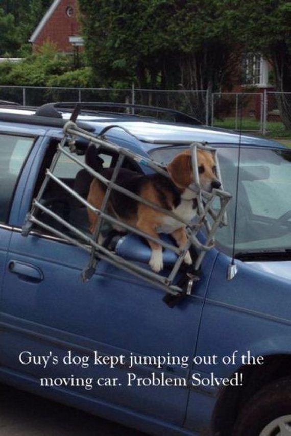 funny-pictures-488