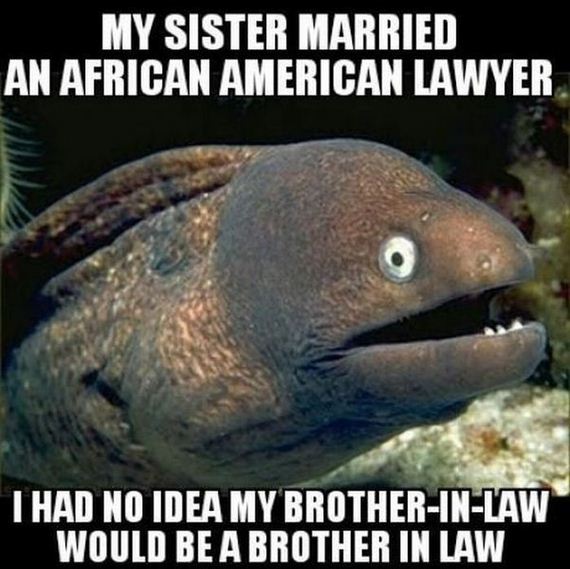funny-pictures-488