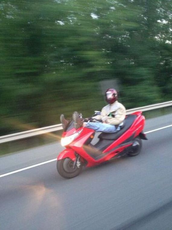 funny-pictures-488