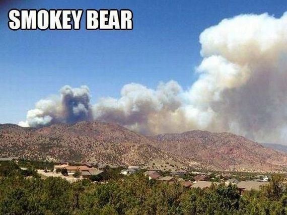 funny-pictures-488