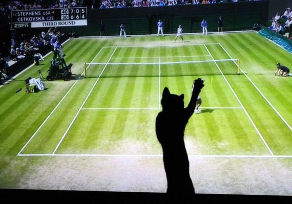 funny-pictures-488