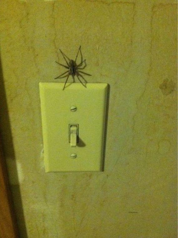 funny-pictures-488