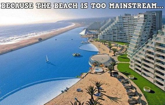 funny-pictures-488