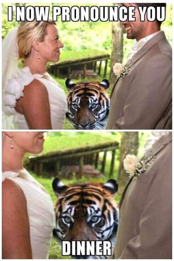 funny-pictures-488