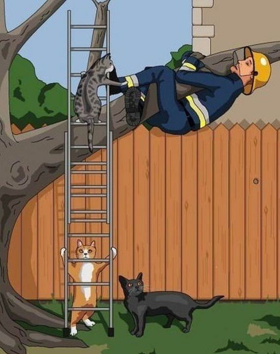 funny-pictures-488