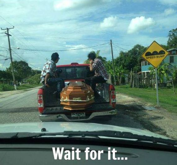 funny-pictures-489