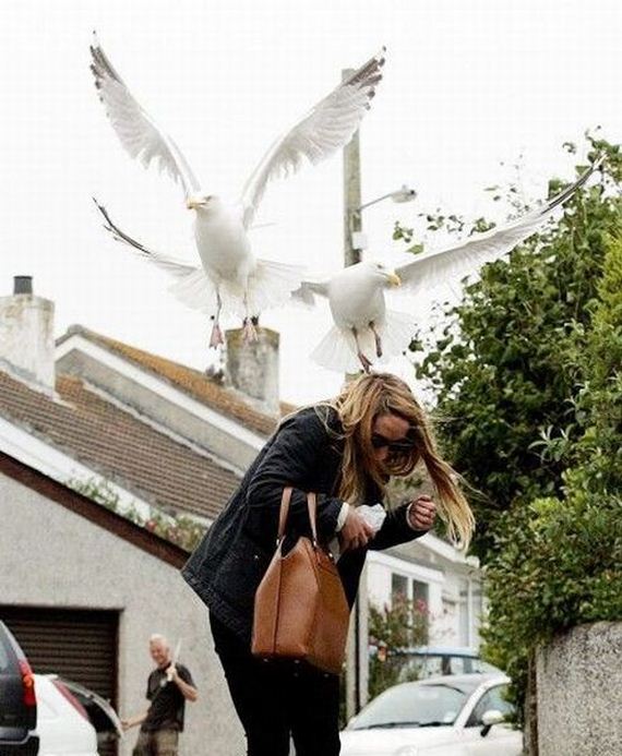 funny-pictures-489