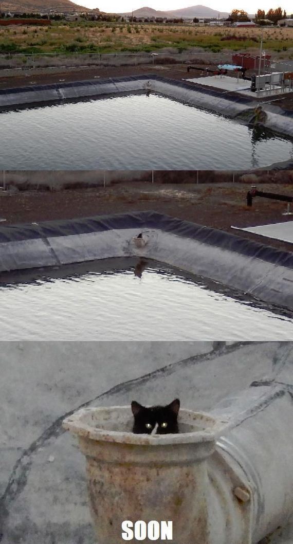 funny-pictures-489