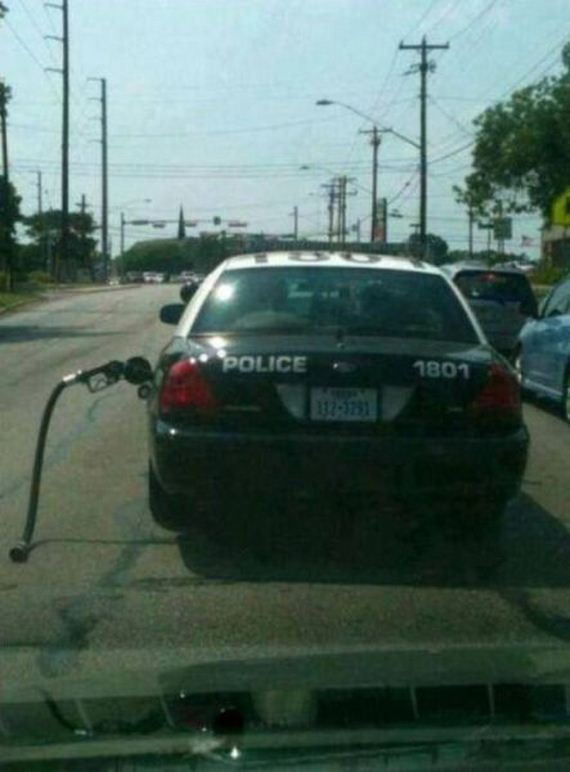 funny-pictures-489