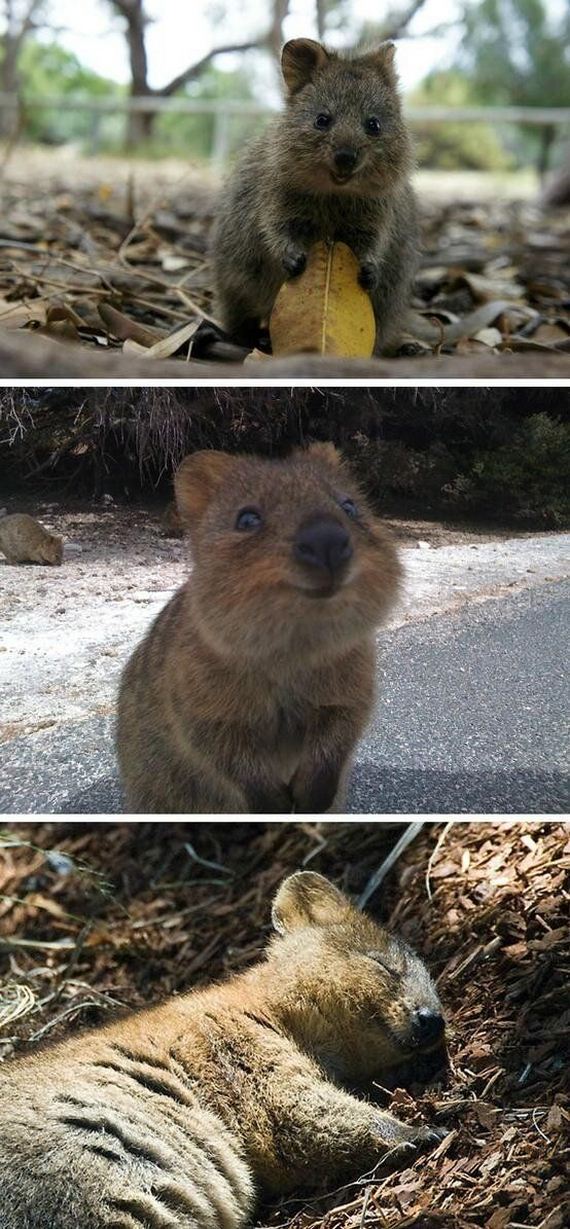 funny-pictures-490