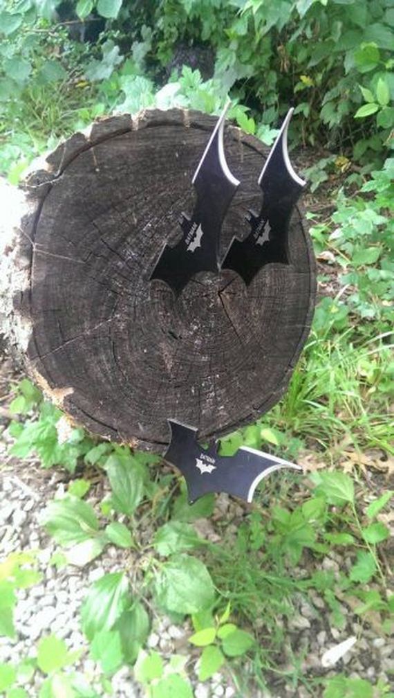 funny-pictures-490
