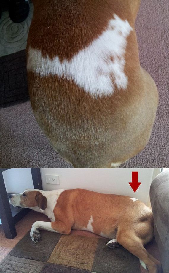 funny-pictures-490