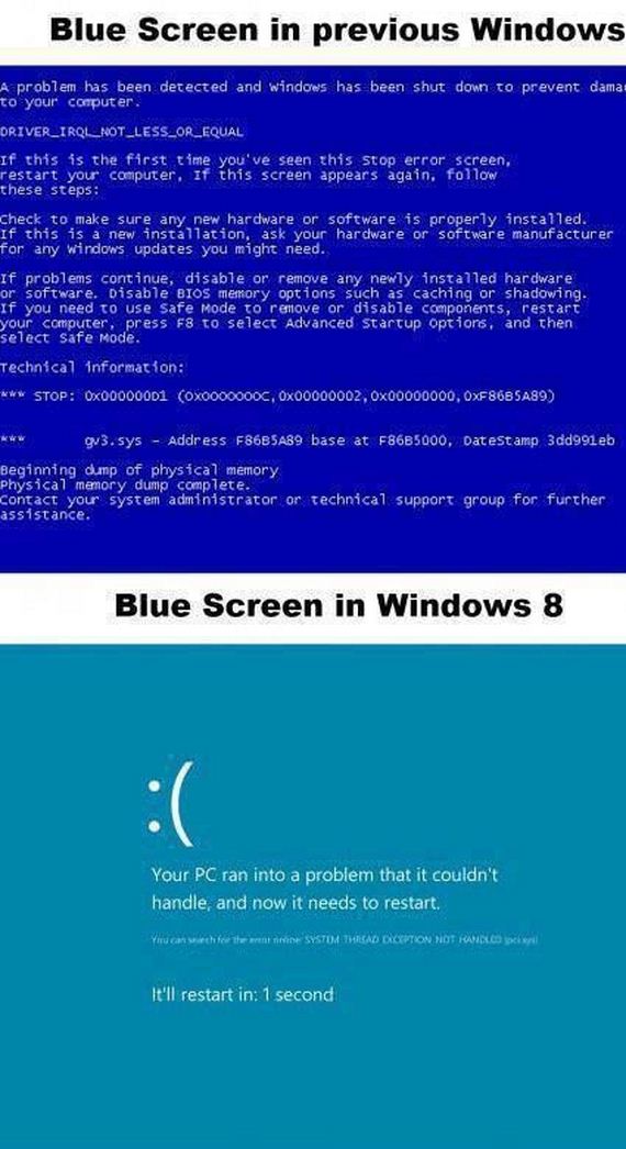 funny-pictures-490