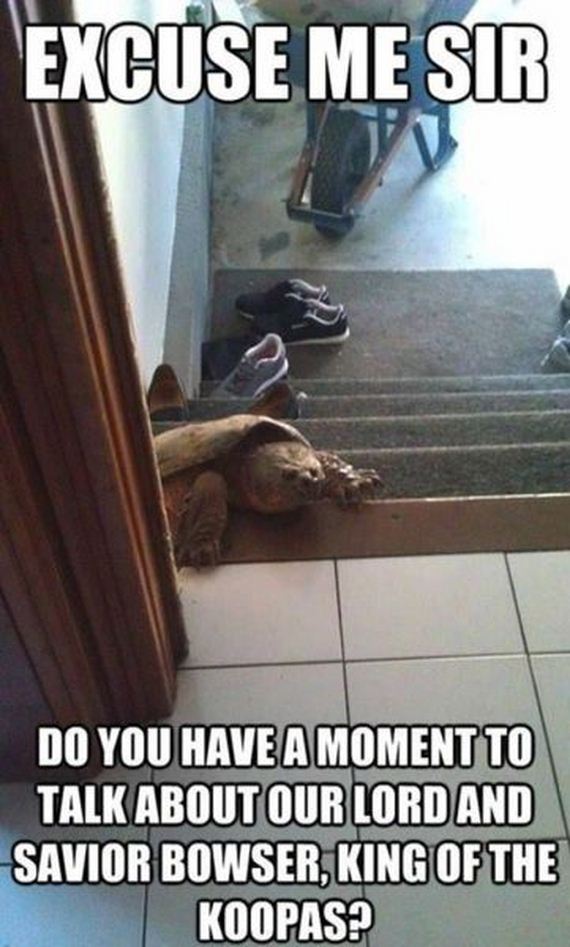 funny-pictures-492