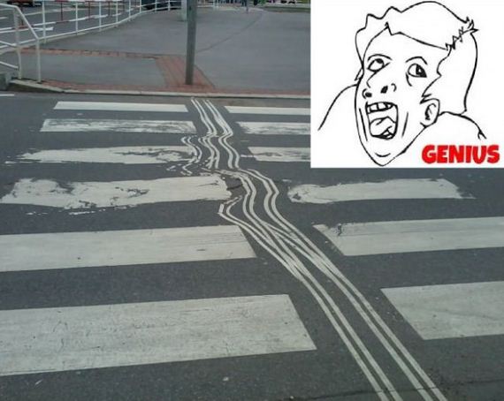 funny-pictures-492