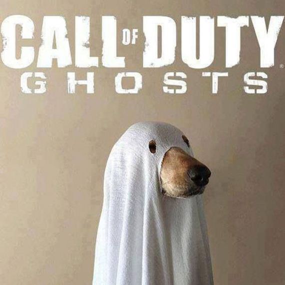 funny-pictures-492