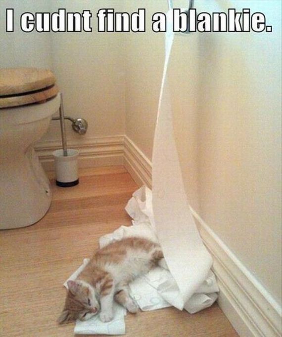 funny-pictures-493