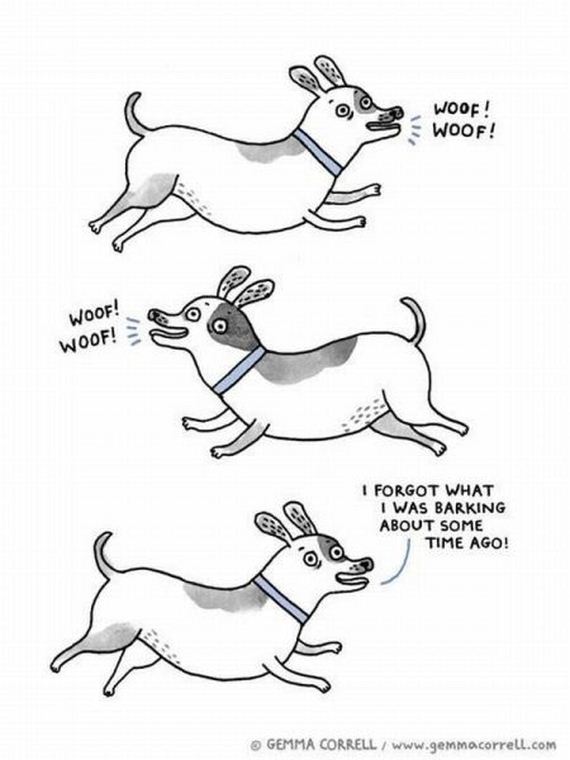 funny-pictures-493