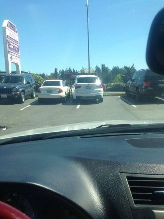 funny-pictures-493