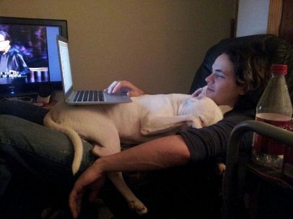 funny-pictures-493