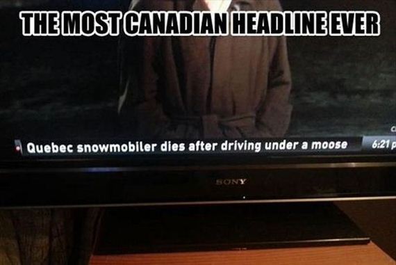 funny-pictures-493