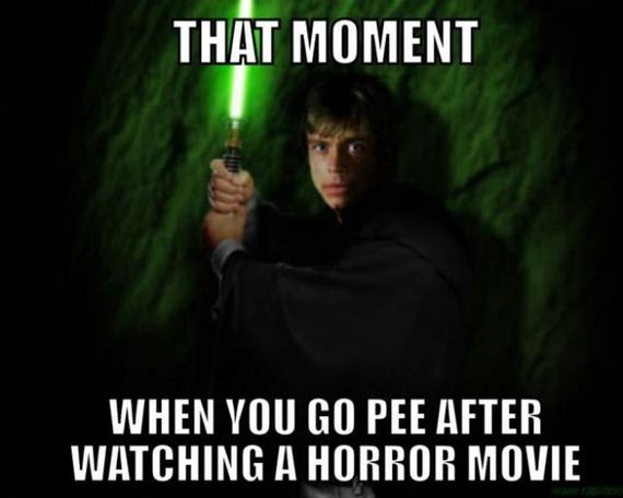 funny-pictures-493