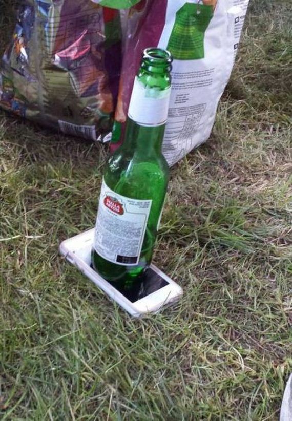 funny-pictures-493