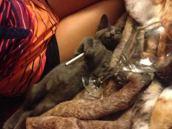 funny-pictures-494