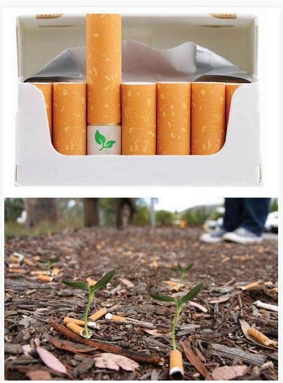 funny-pictures-494