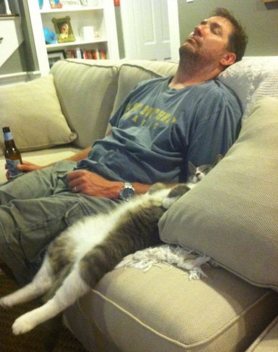 funny-pictures-494