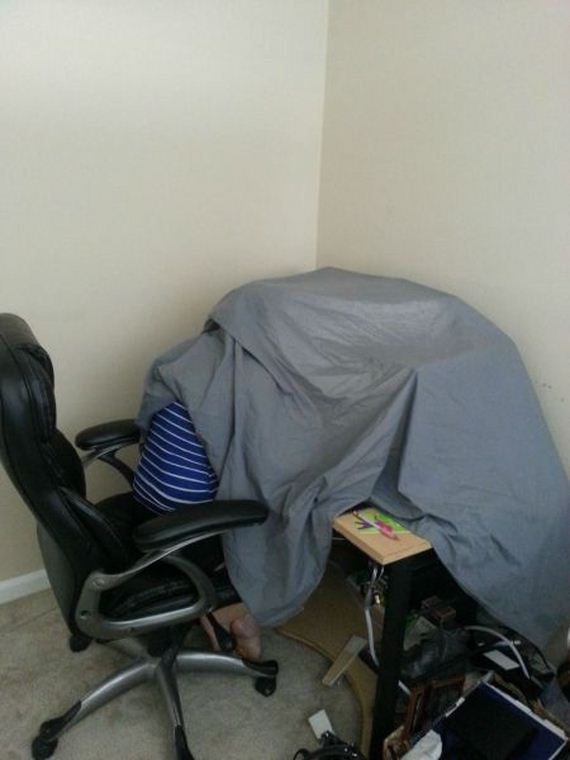 funny-pictures-494