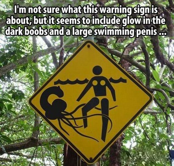 funny-pictures-494