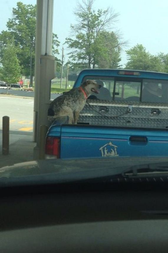 funny-pictures-494