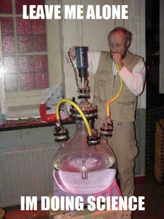 funny-pictures-494