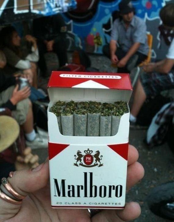 funny-pictures-494