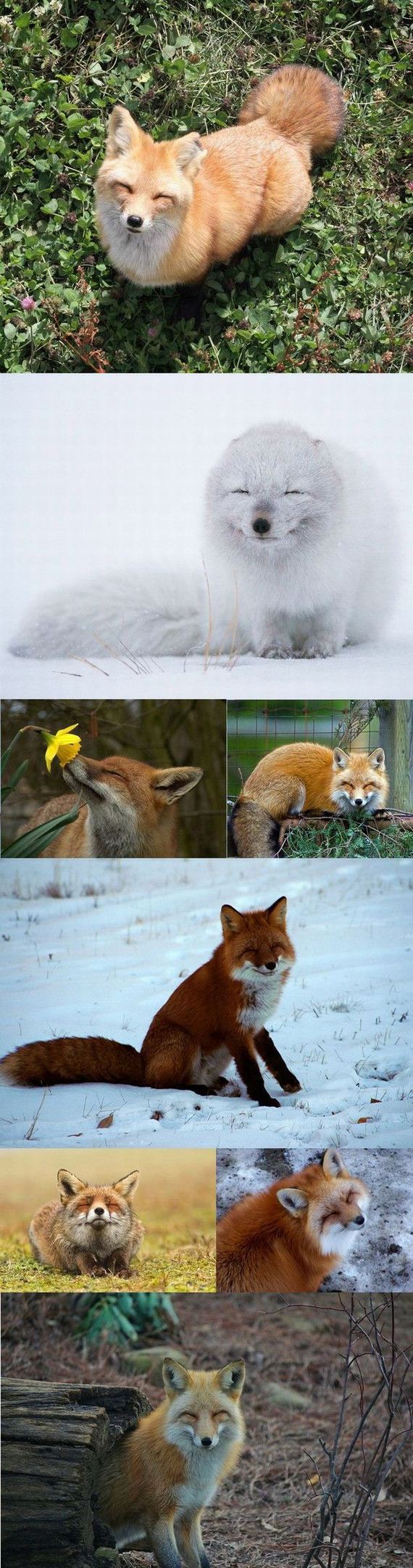 funny-pictures-494