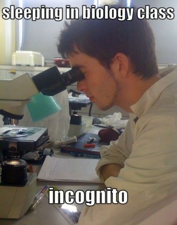 funny-pictures-495