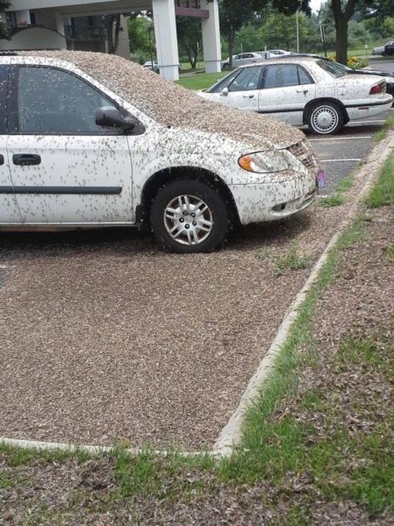 funny-pictures-495