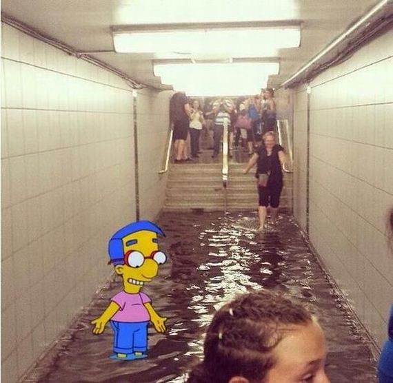 funny-pictures-495
