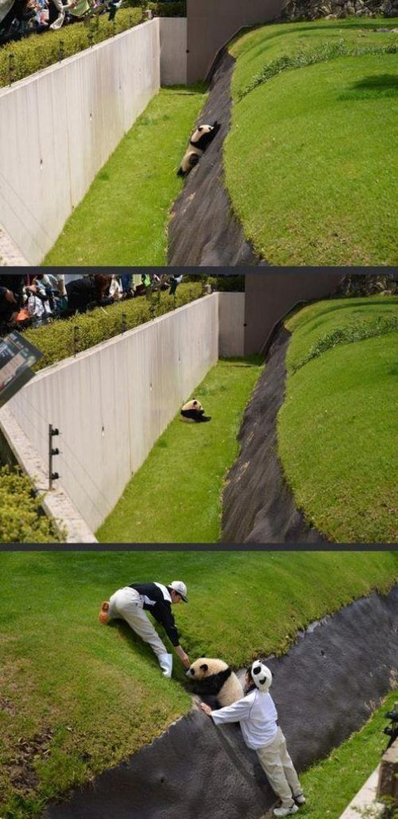 funny-pictures-495