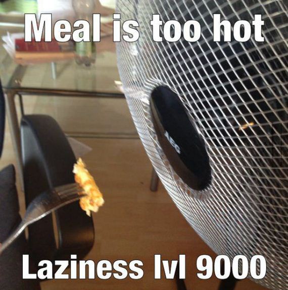 funny-pictures-495