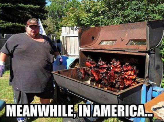funny-pictures-496