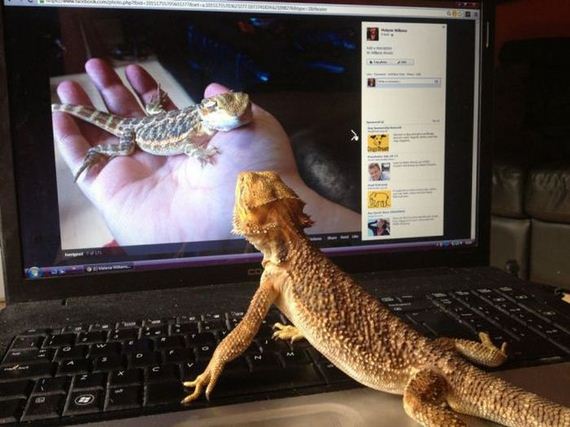funny-pictures-496