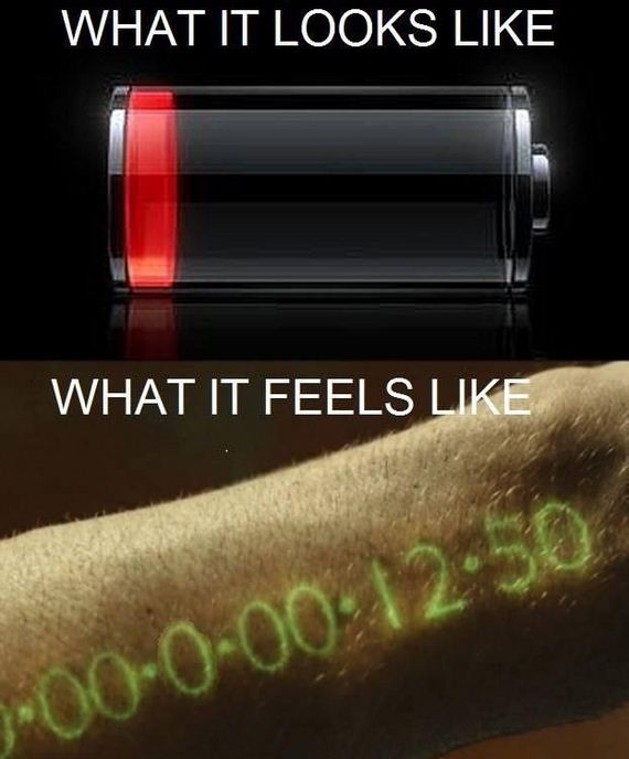funny-pictures-496