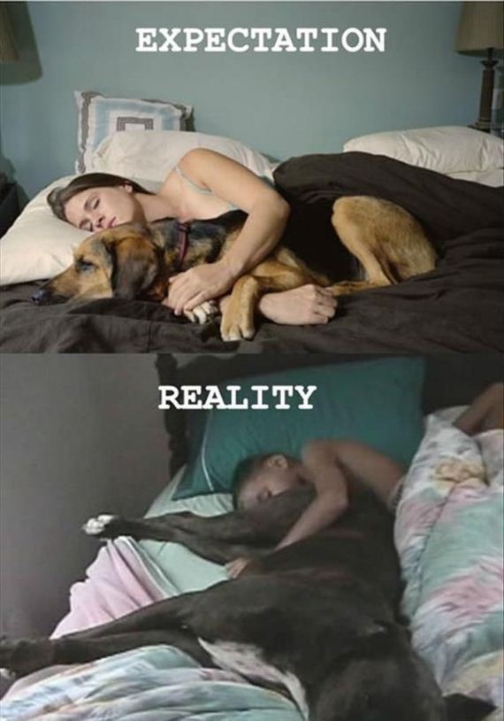 funny-pictures-497