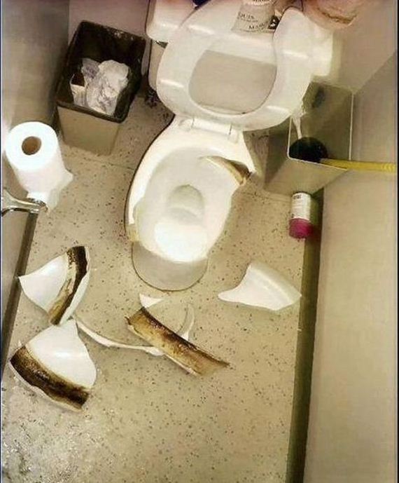 funny-pictures-497