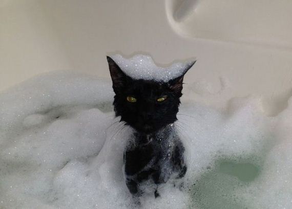 funny-pictures-497