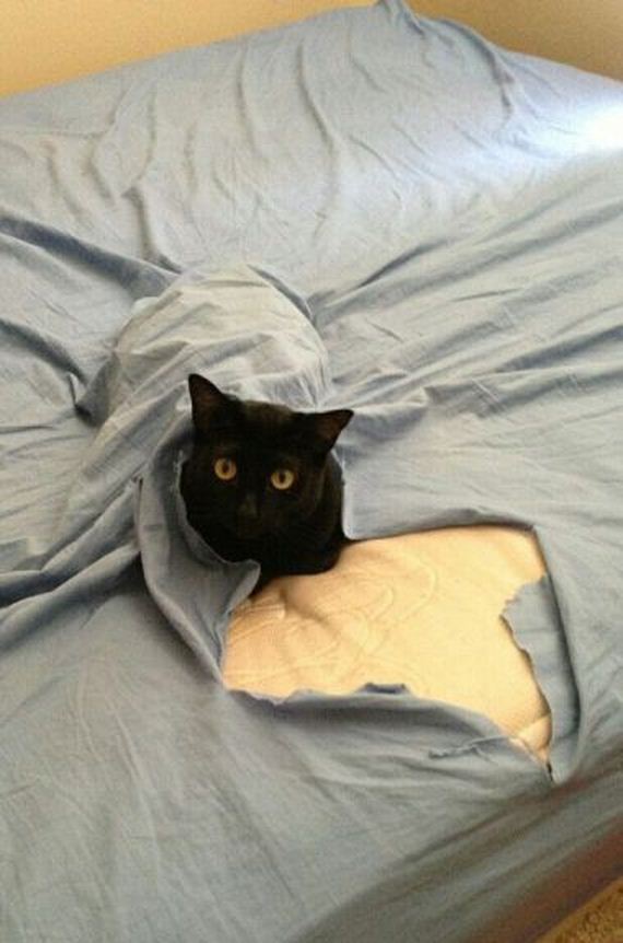 funny-pictures-497