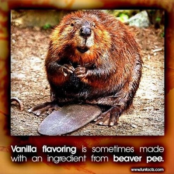 funny-pictures-497